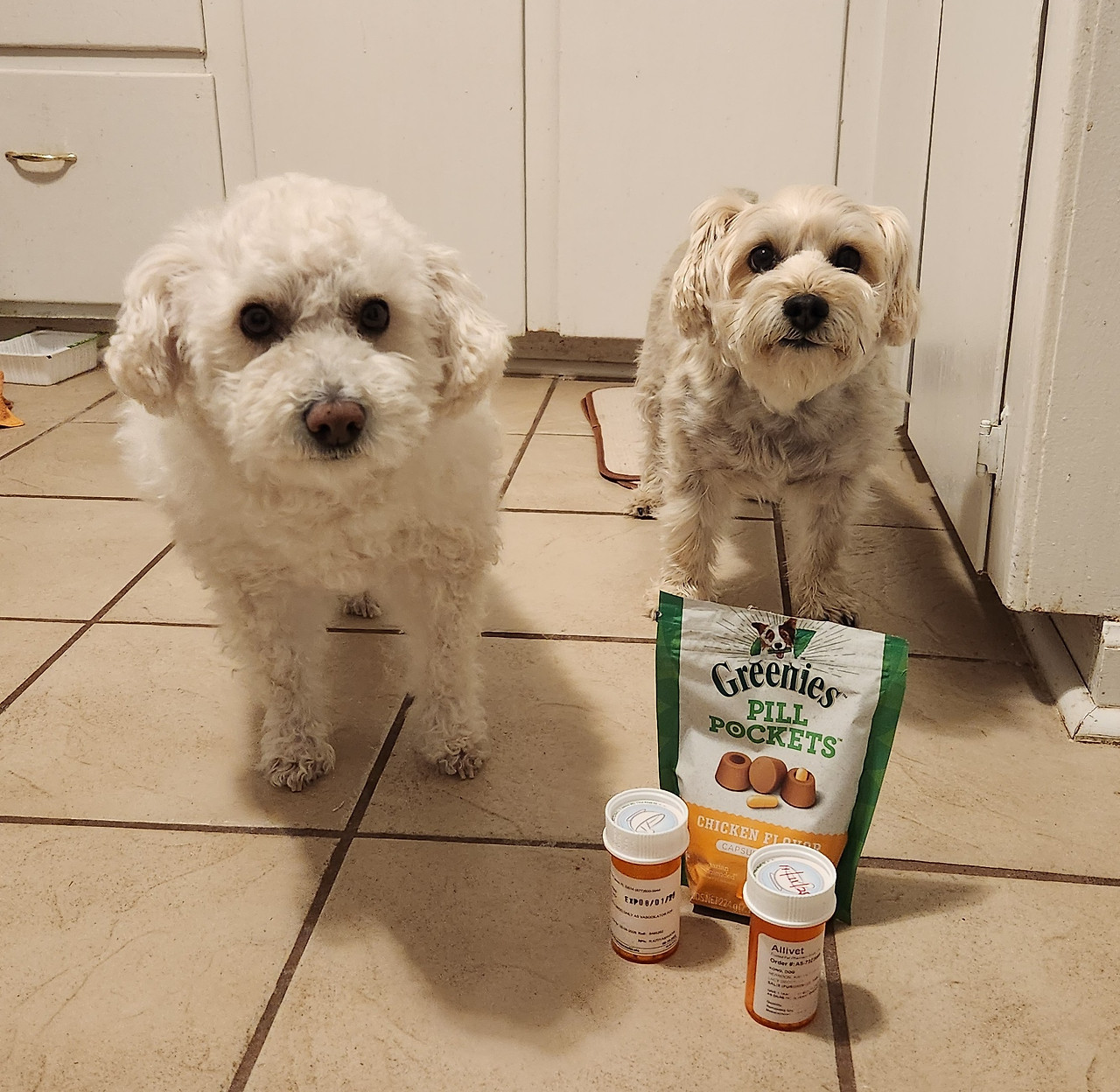 약과 아이들.jpg