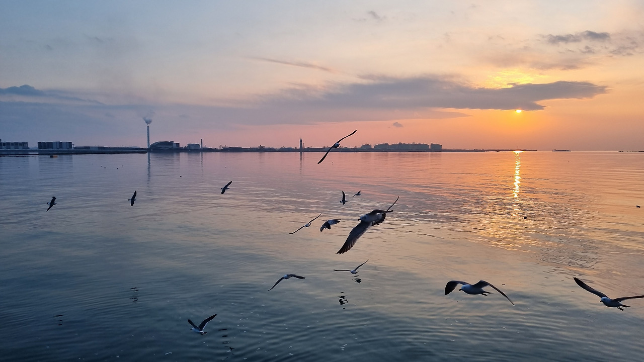 노을진 송도 앞바다와 갈매기.jpg