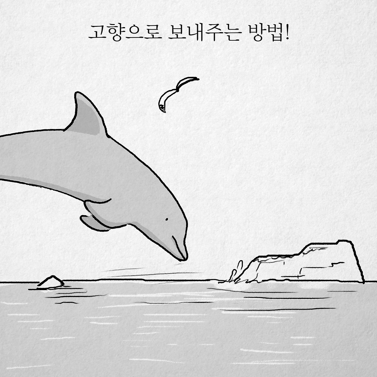 돌고래_003.jpg