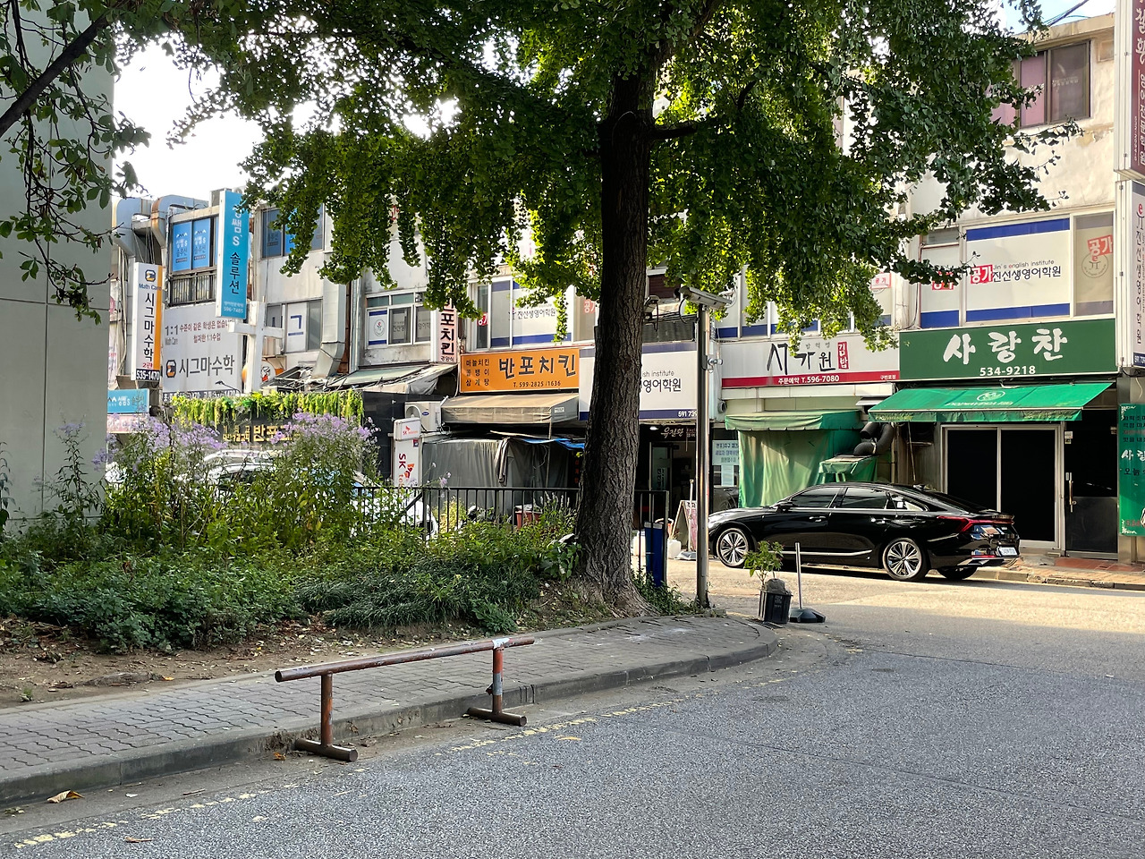 동아상회와 보르르와 세라