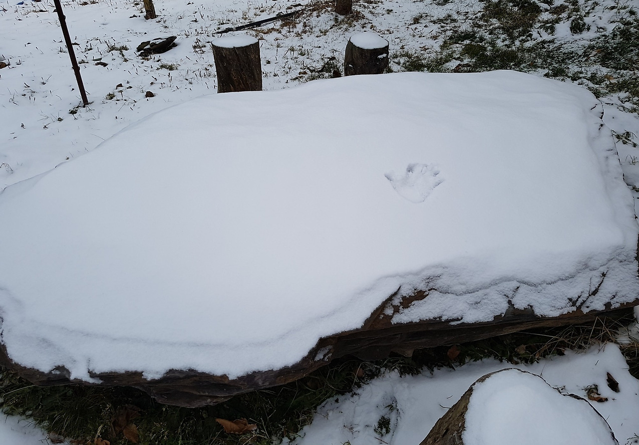 두꺼비 바위.jpg