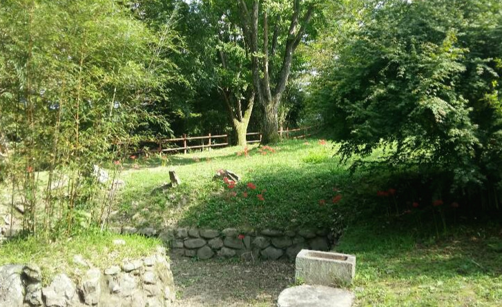 임대정 -연못.jpg