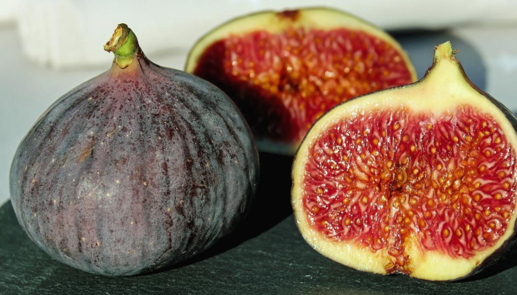 figs-1620664_1920.jpg