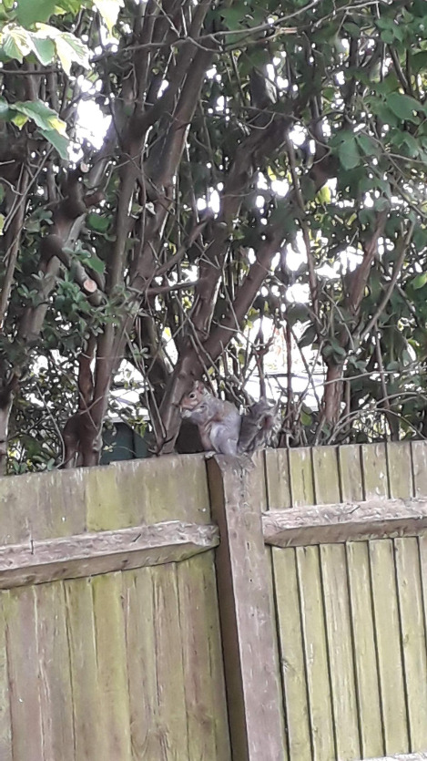 20200423_182202 - 복사본.jpg