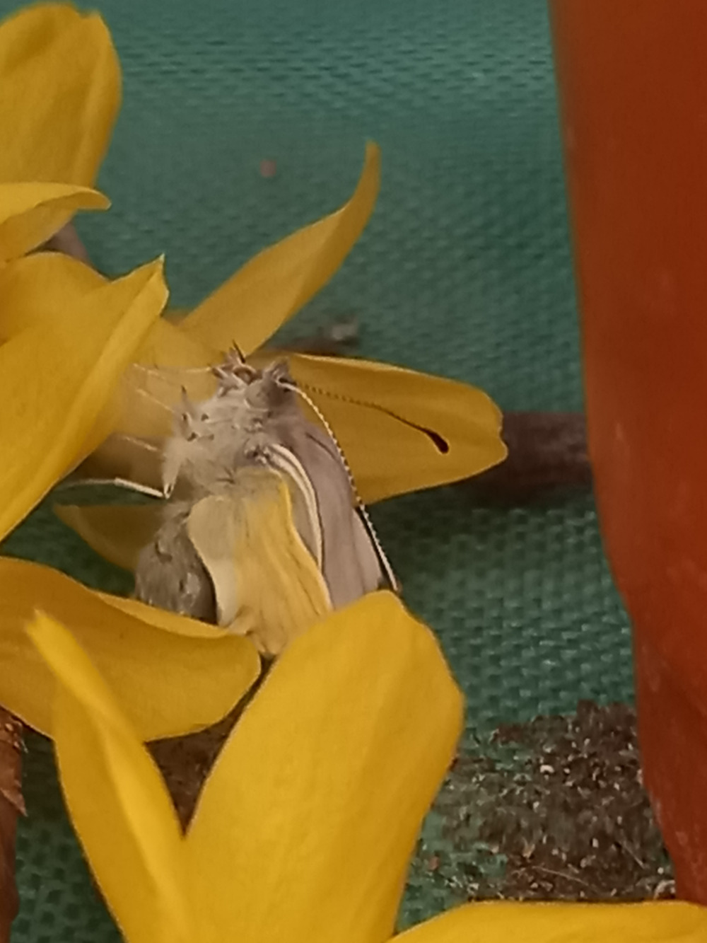 20230329_075358 - 복사본.jpg