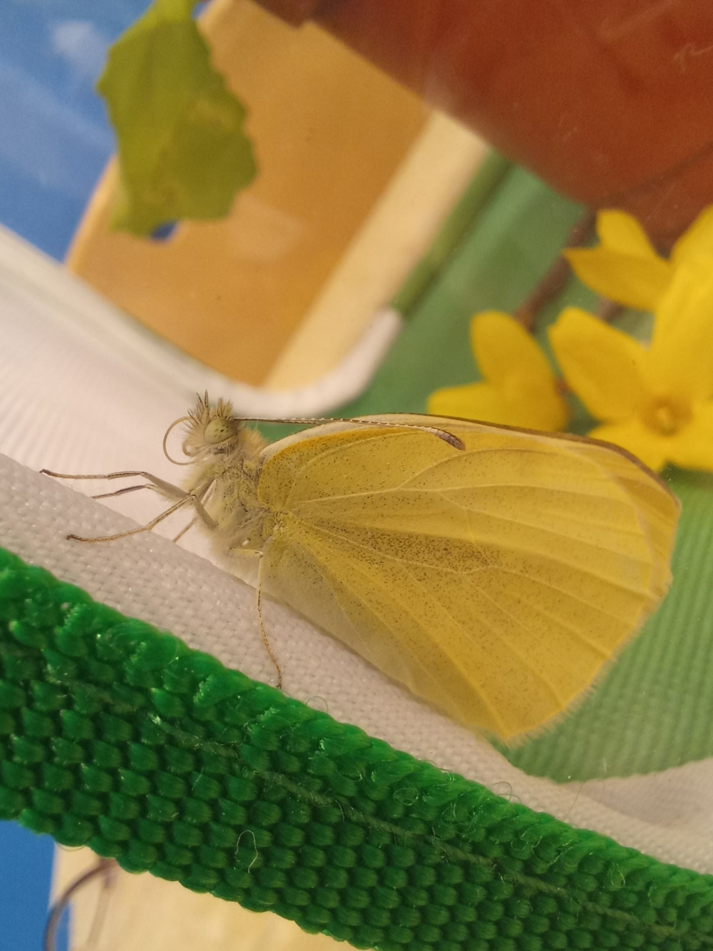 20230329_074820 - 복사본.jpg