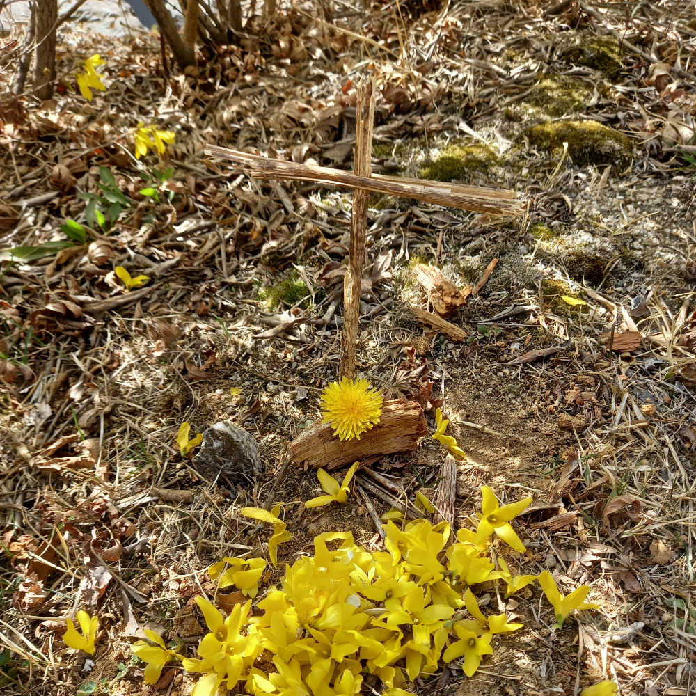 20230330_141915 - 복사본.jpg