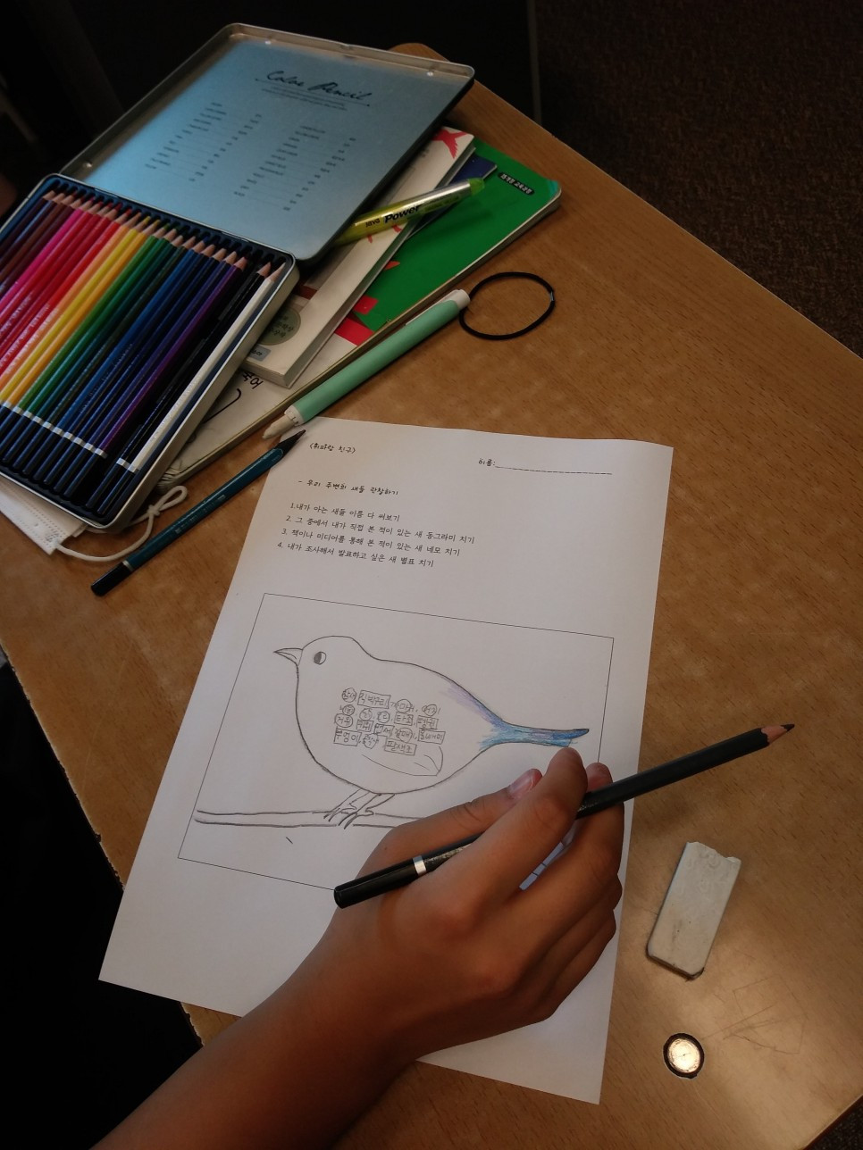 bird활동지.jpg