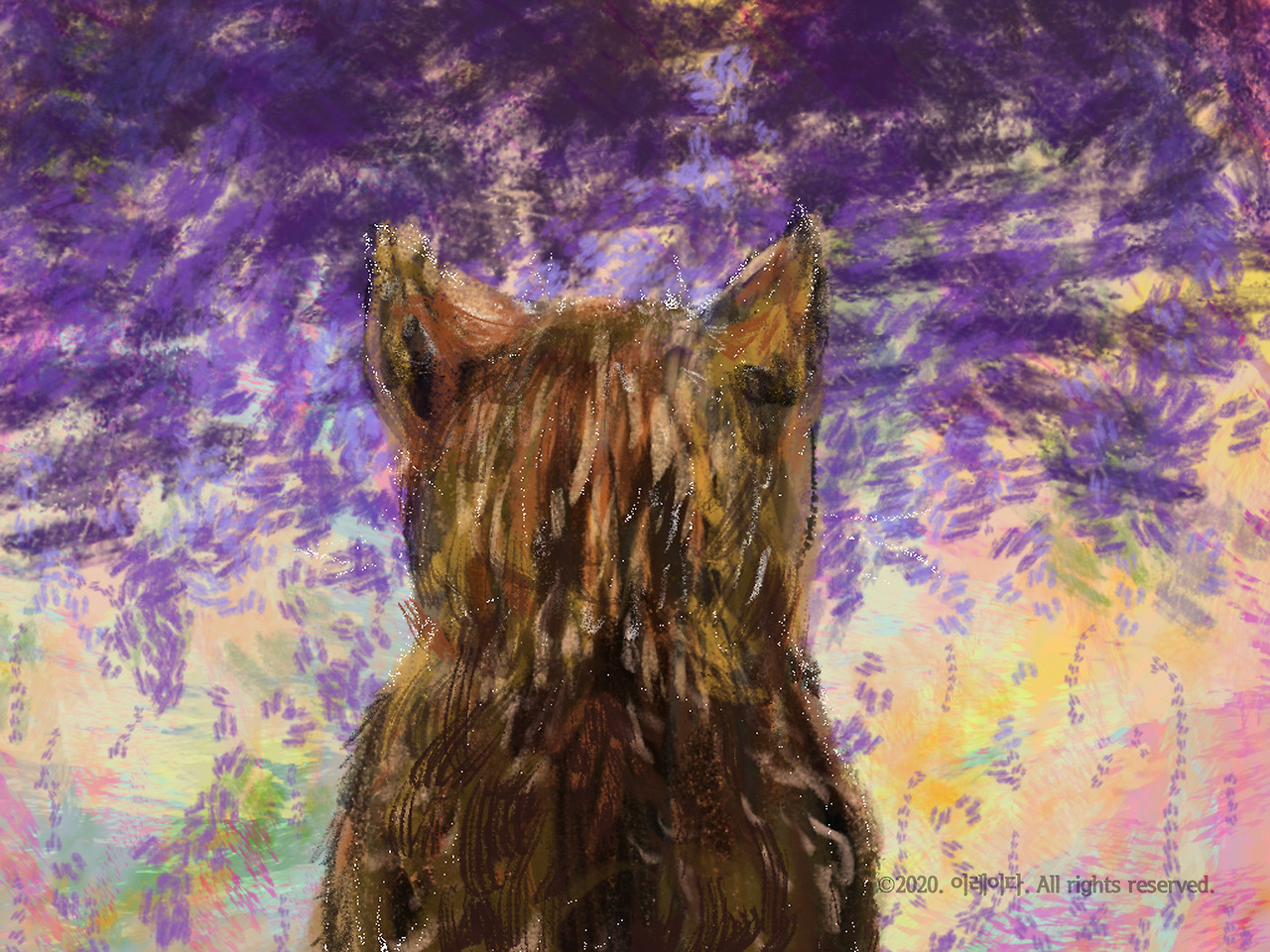 지금 - 2020년 12월 6일 00.50.jpg