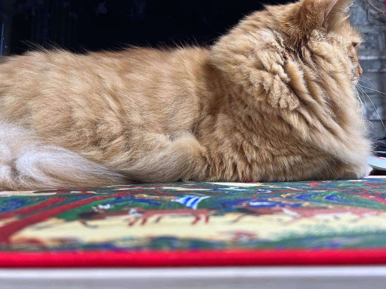 까미 장패드01.jpg