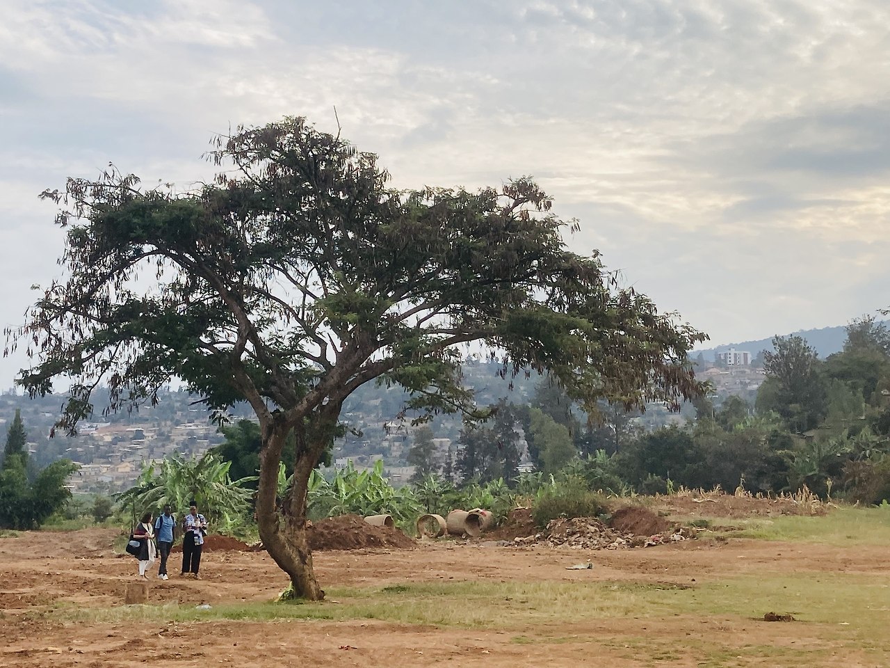 5_WA_DC_그날의 딸들.jpg