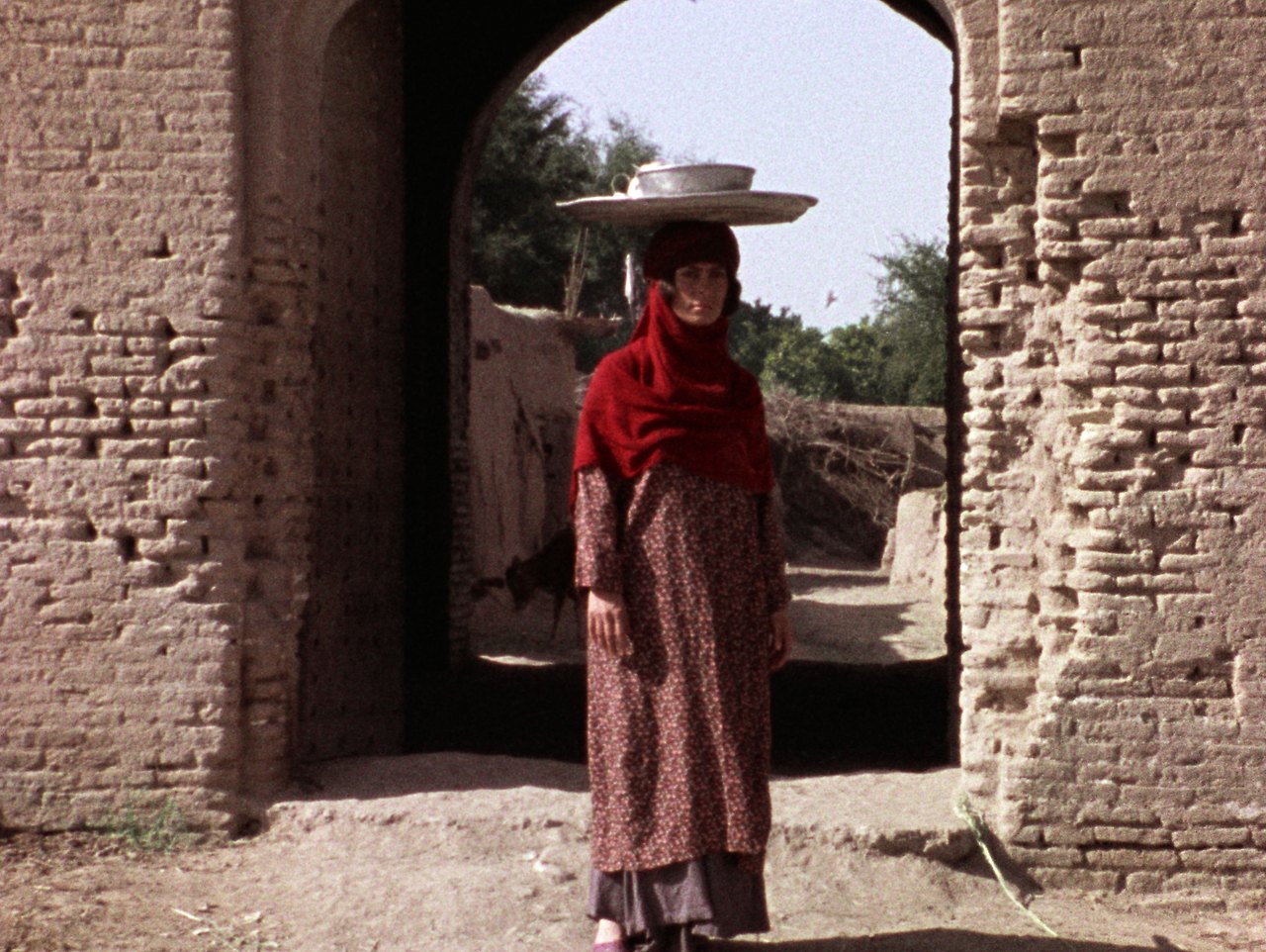 CJ_봉인된 땅_The Sealed Soil_01.jpg