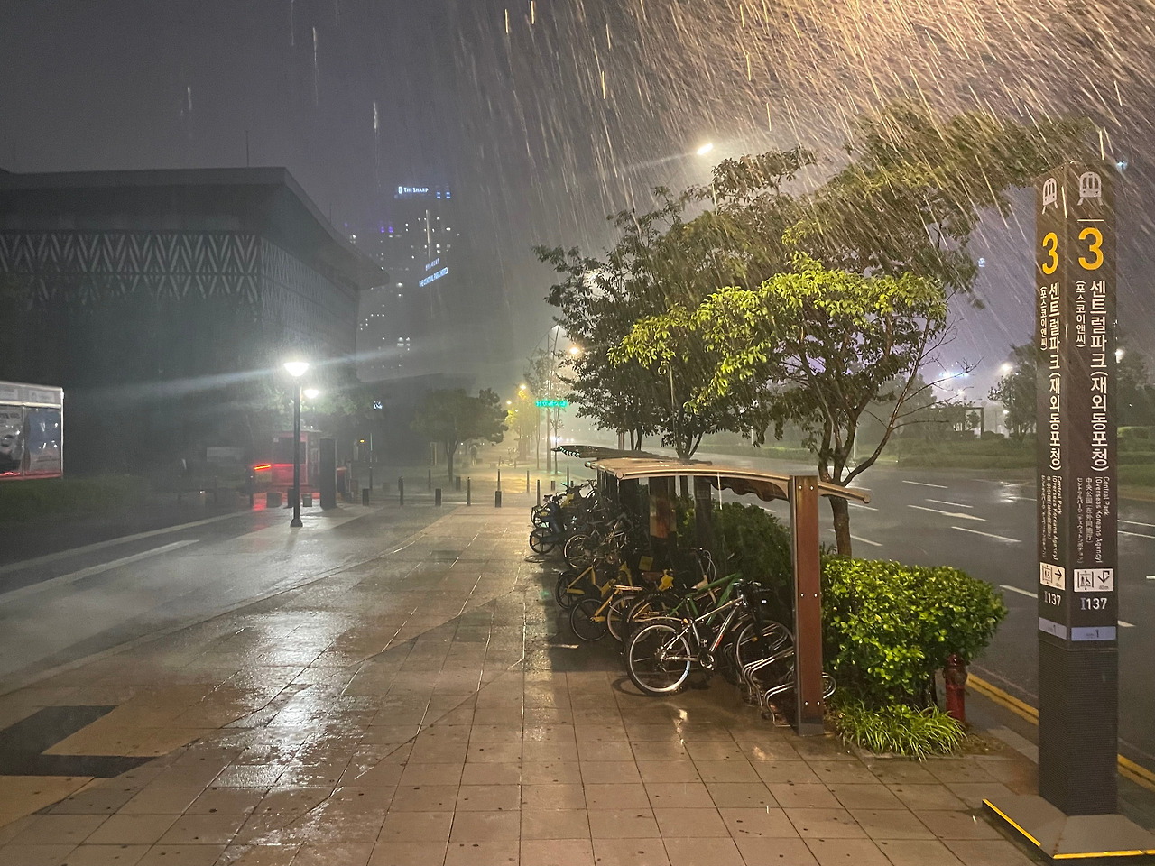 빗길.jpg