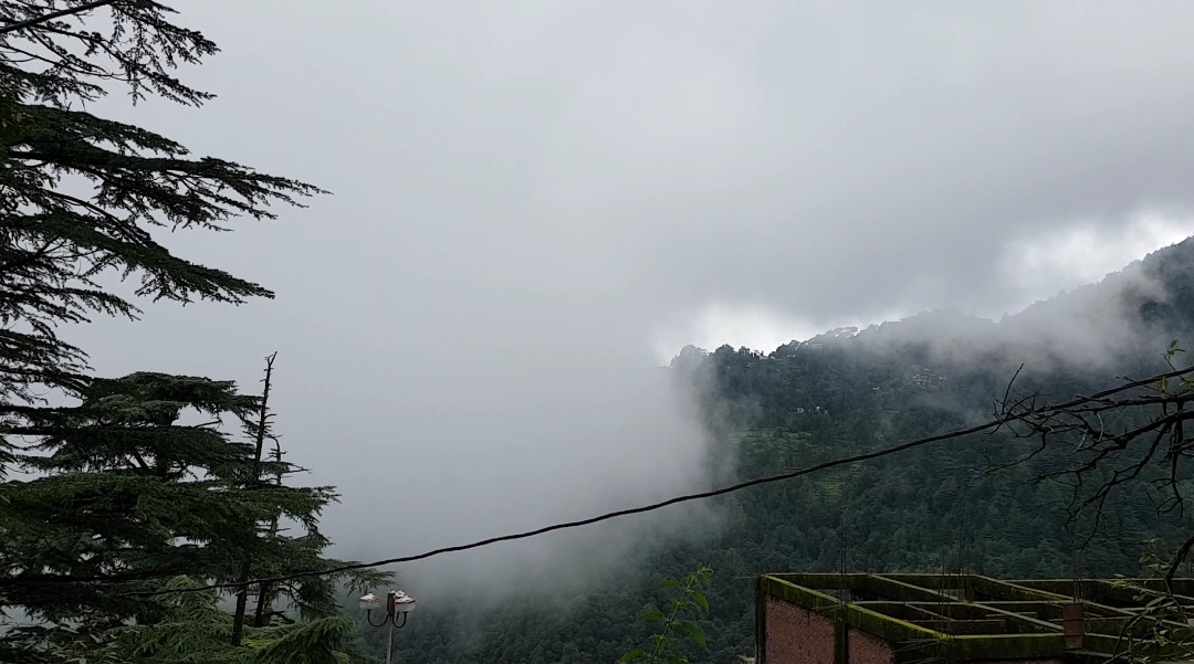 Screenshot_20200429-223159_Video Player.jpg