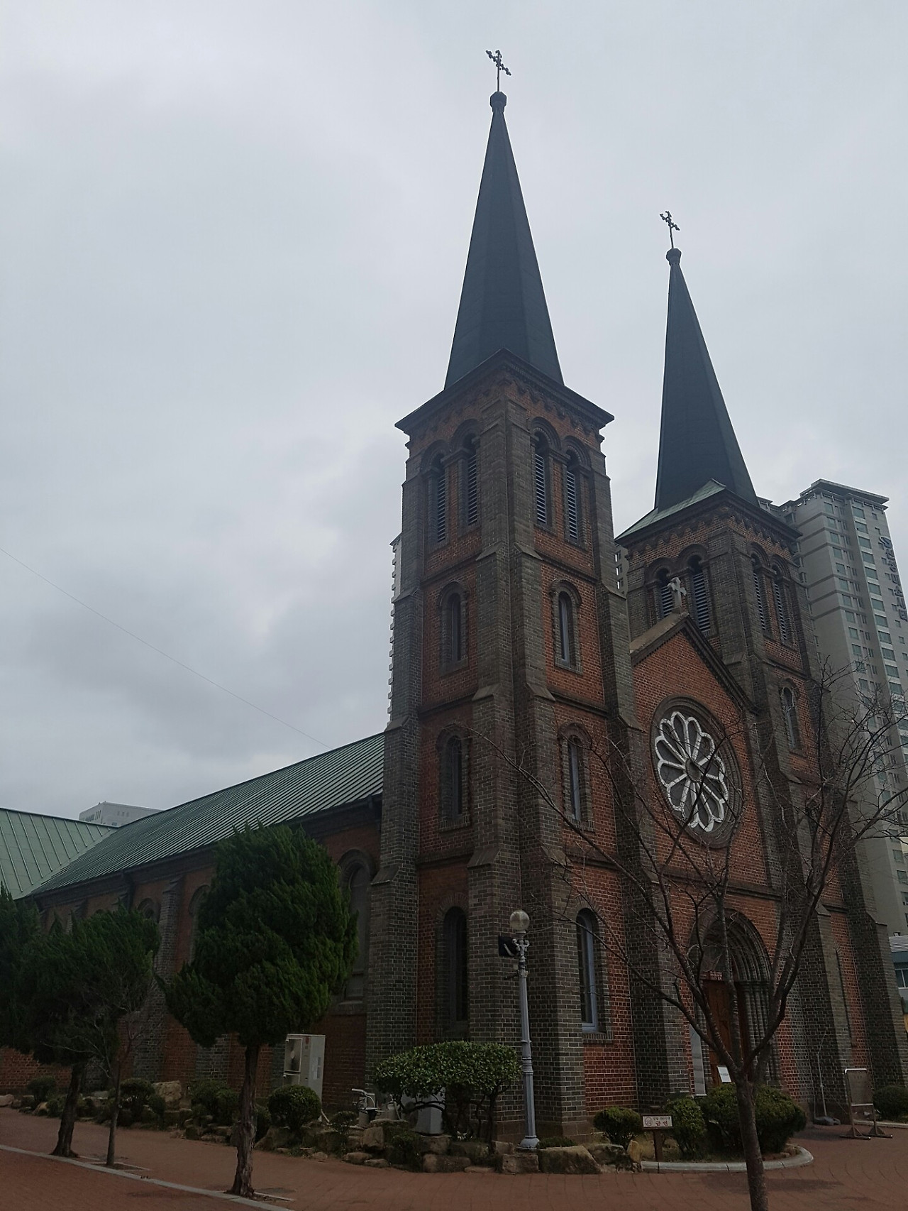 엄마사진 1 - 복사본.jpg