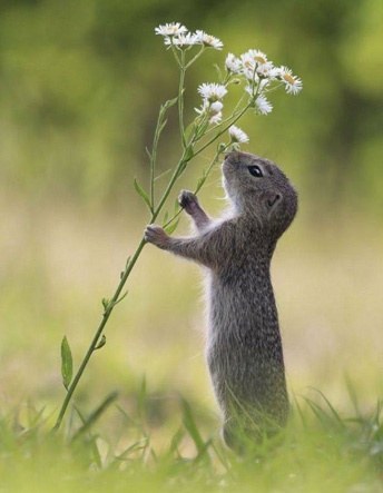 2016-07-31 23.48.04-1.jpg