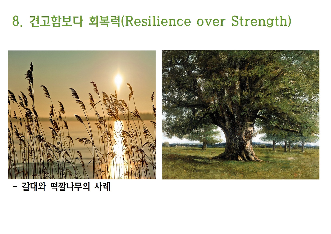 11-더 빨라진 미래의 생존원칙 9030.jpg