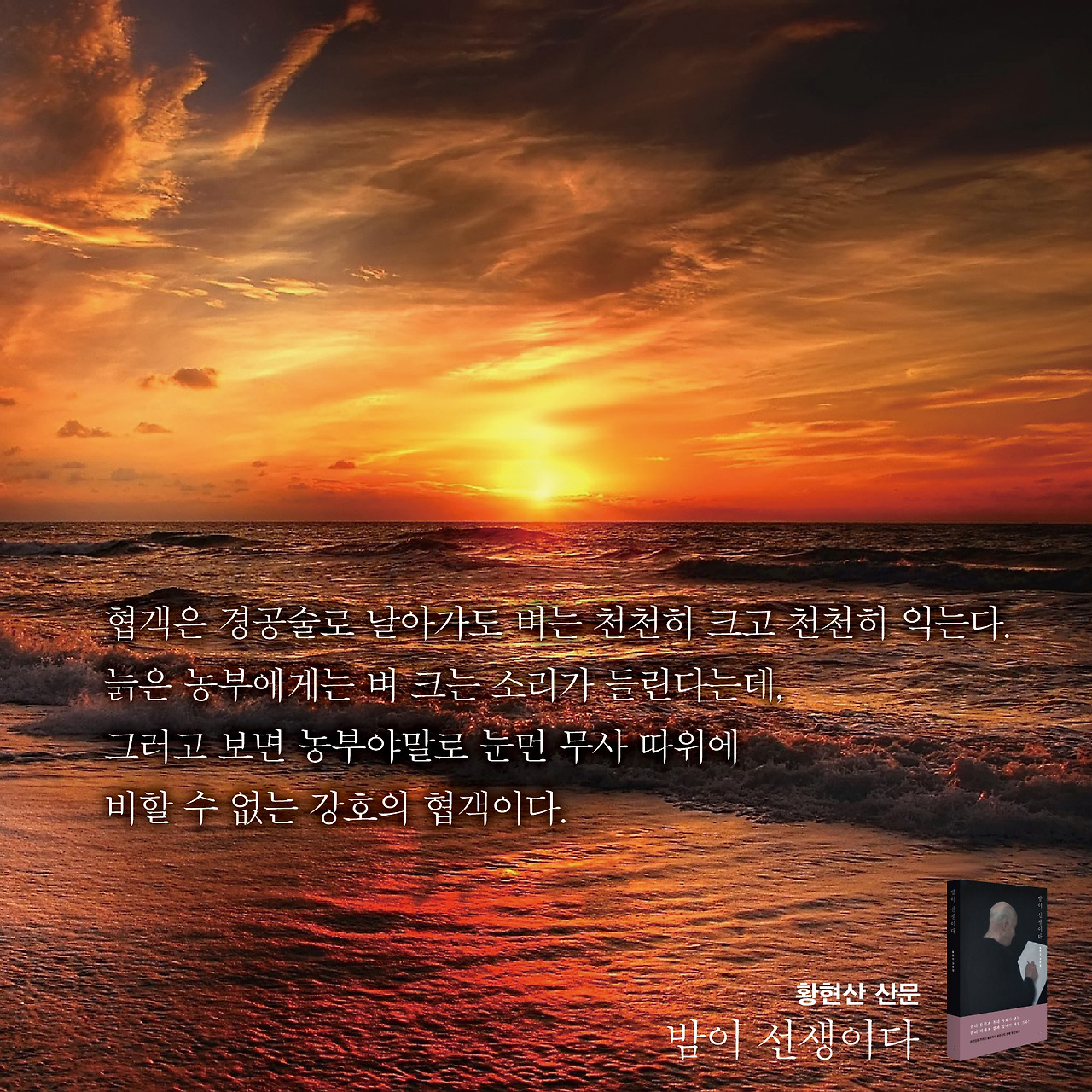 황현산 명구 4.jpg