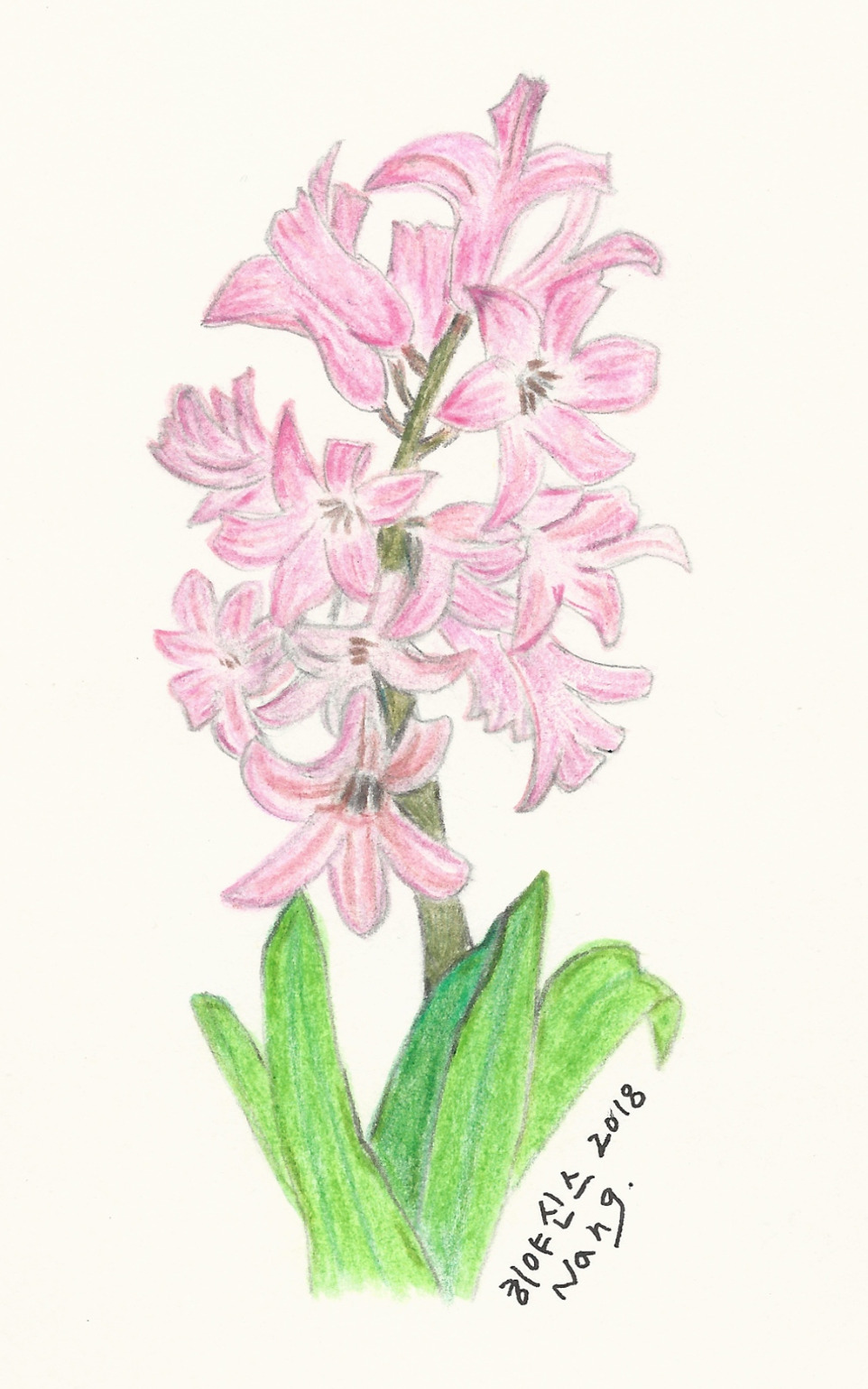 14-1마당에 색칠하기.jpg