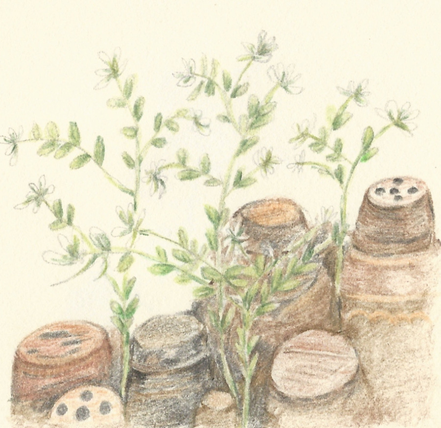 13자연스러움을 재현하다.jpg