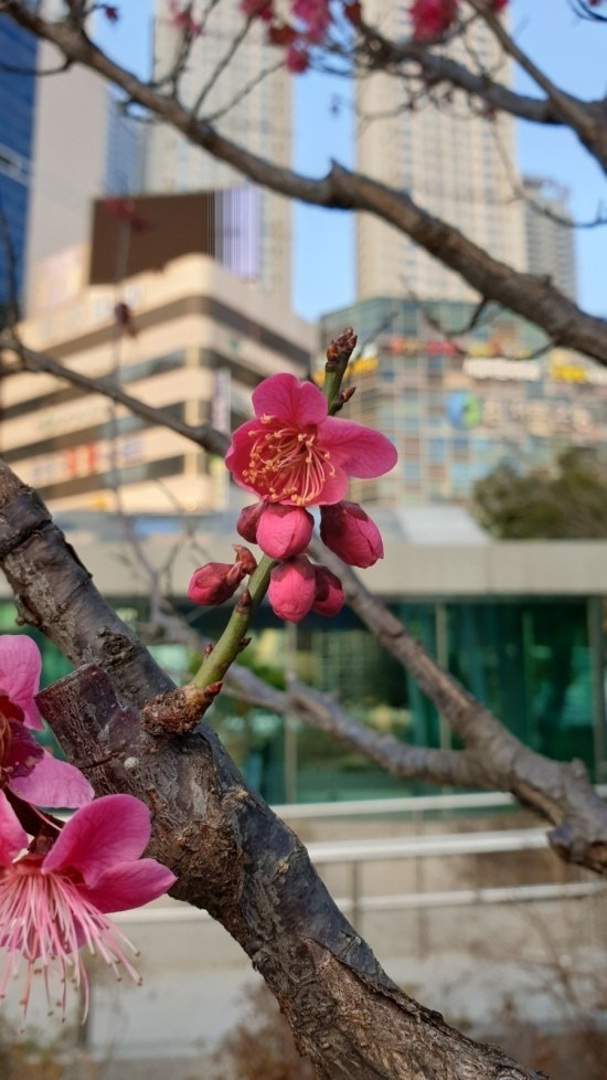 20200303_172735 (1).jpg