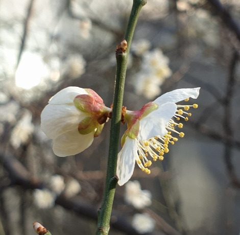 20200308_163436 (2).jpg