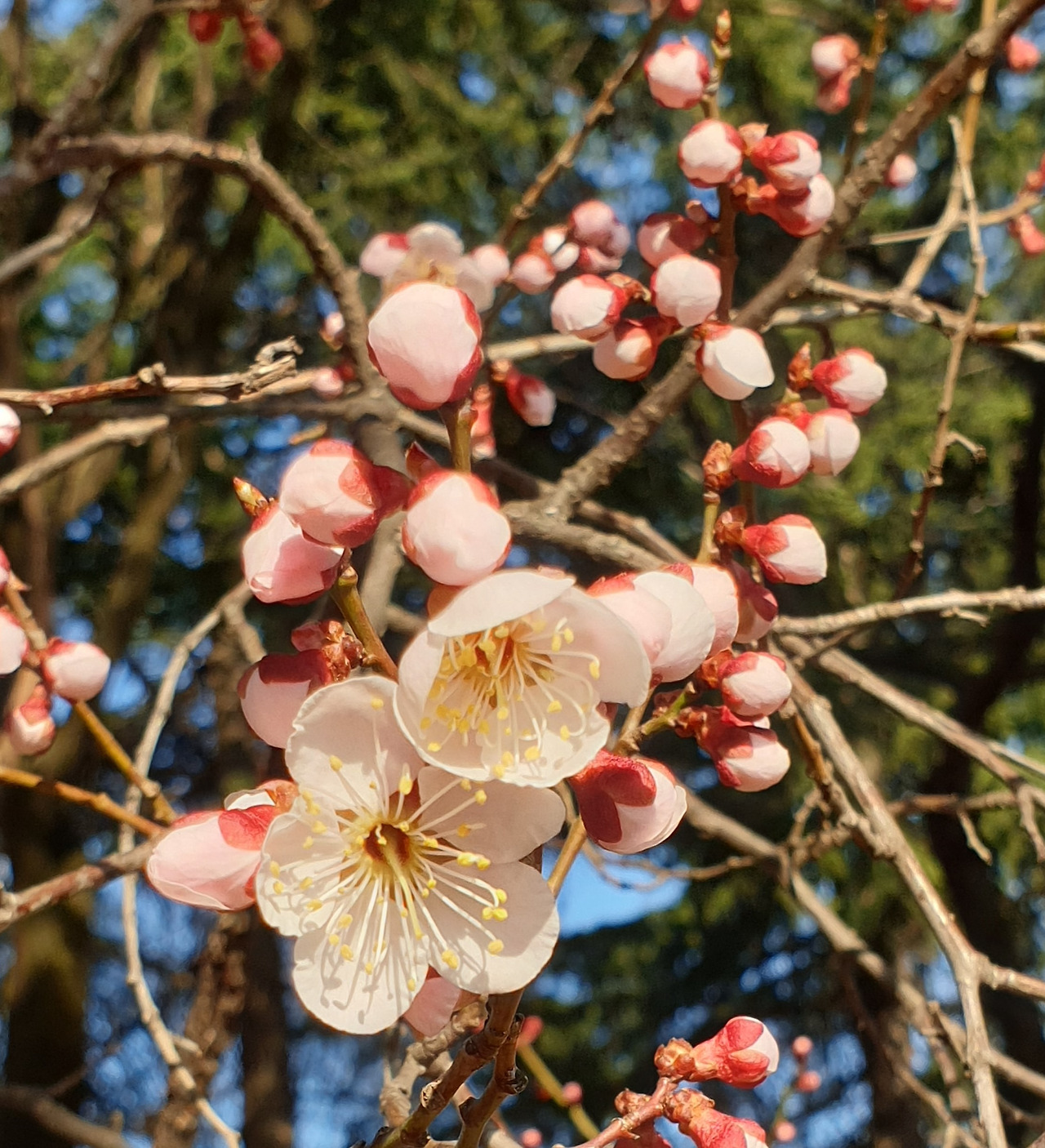 20200306_163551 (2).jpg