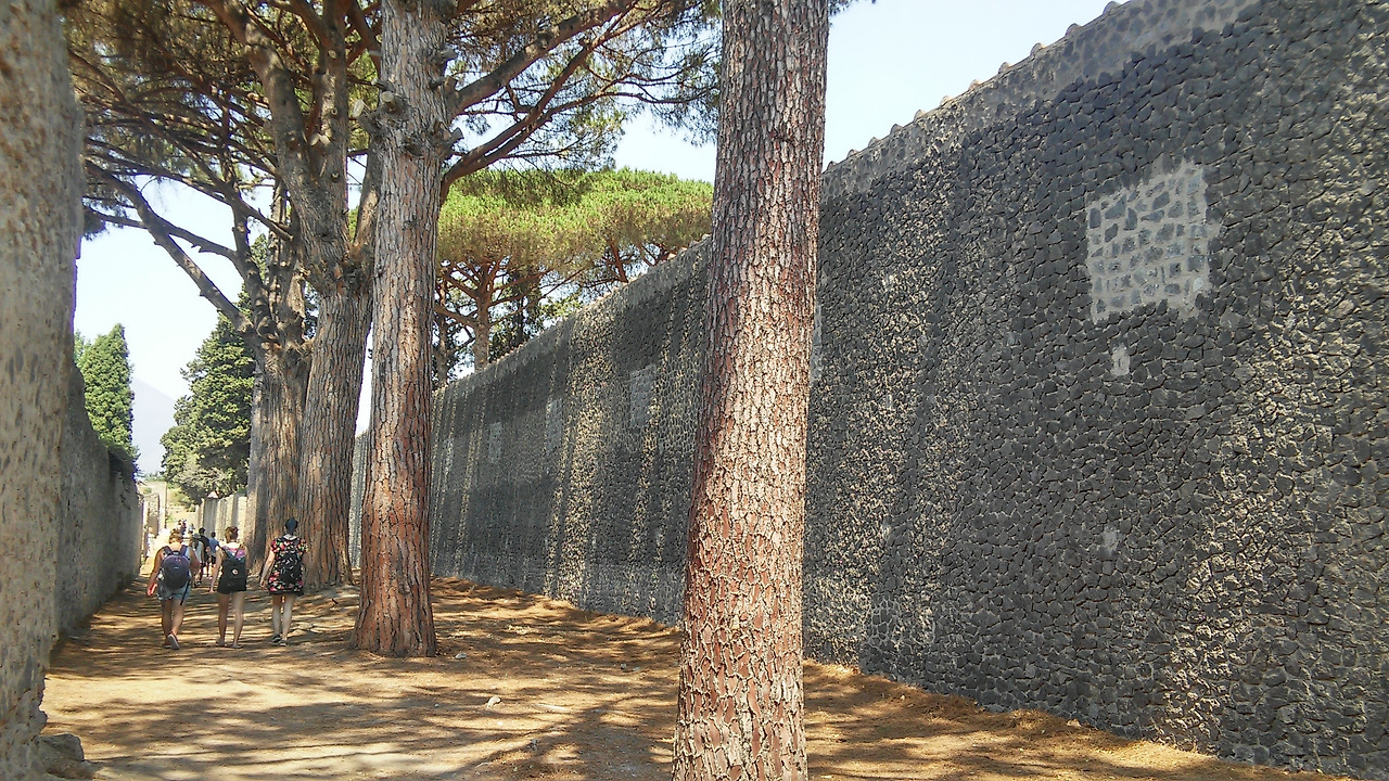 20170721 40일간 유럽15개국 여행 폼페이, 쏘렌토, 포지타노, 아말피 못가고 나폴리 (38).jpg