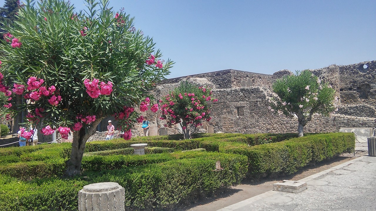20170721 40일간 유럽15개국 여행 폼페이, 쏘렌토, 포지타노, 아말피 못가고 나폴리 (94).jpg