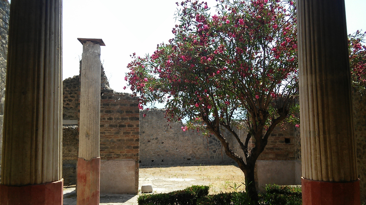 20170721 40일간 유럽15개국 여행 폼페이, 쏘렌토, 포지타노, 아말피 못가고 나폴리 (49).jpg