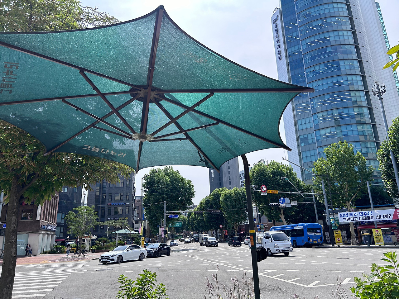파라솔.jpg