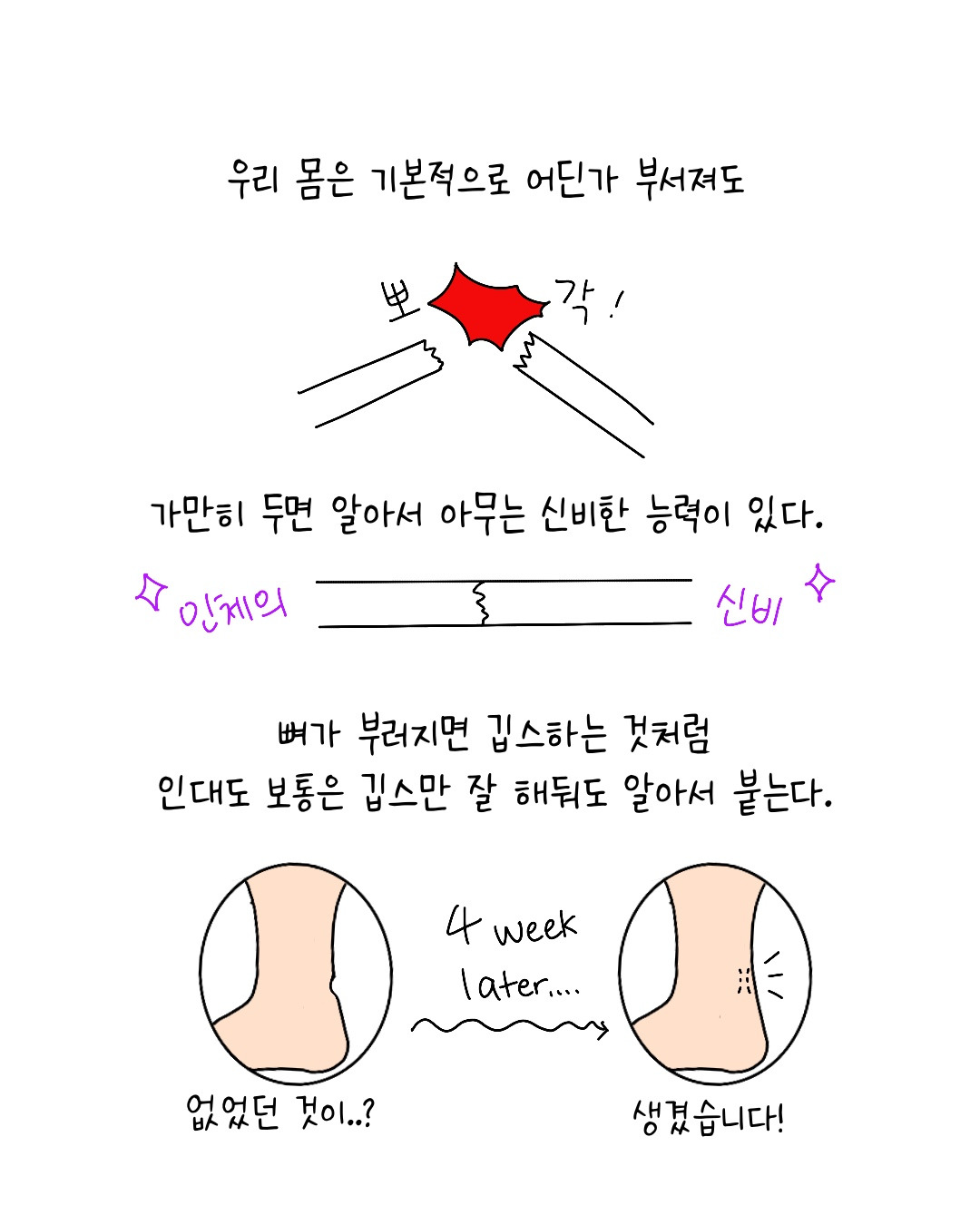 Untitled_Artwork 3.jpg