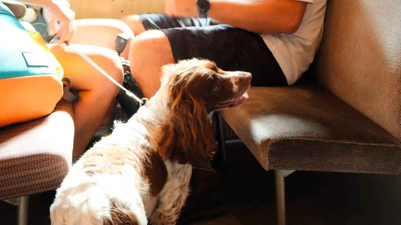 스크린샷 2025-12-02 오후 43103.jpg