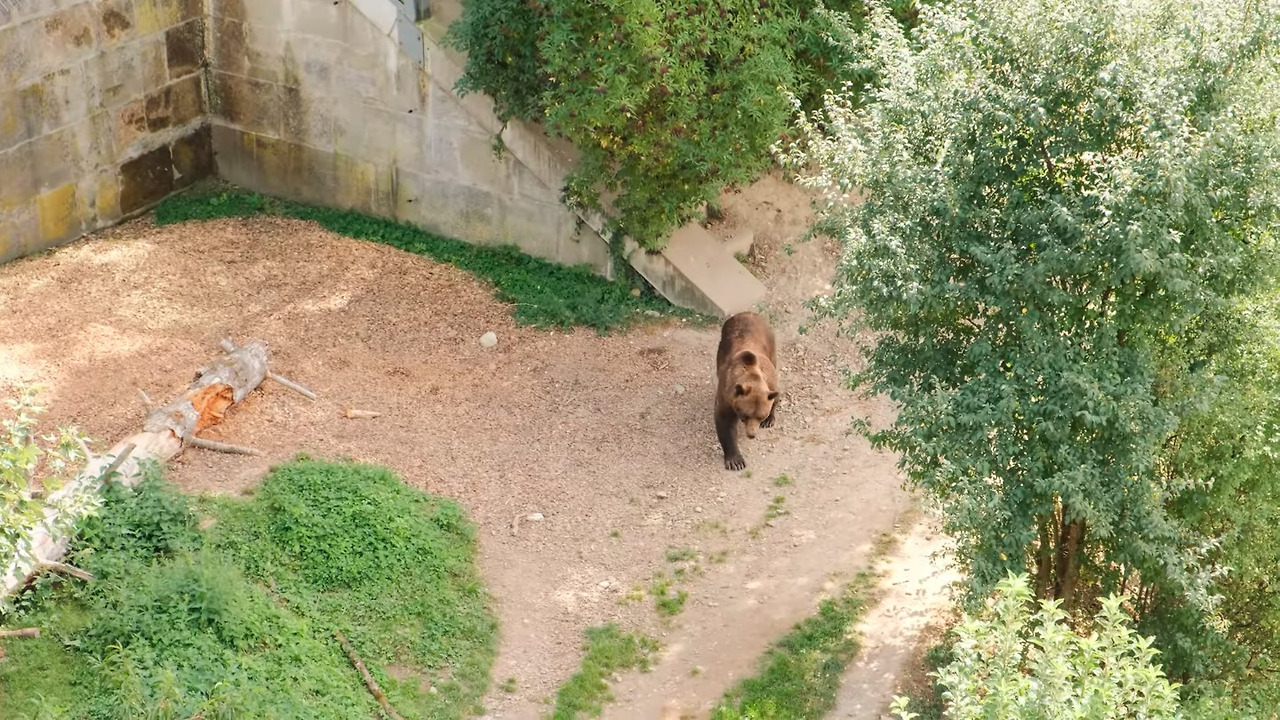 스크린샷 2025-12-02 오후 45303.jpg