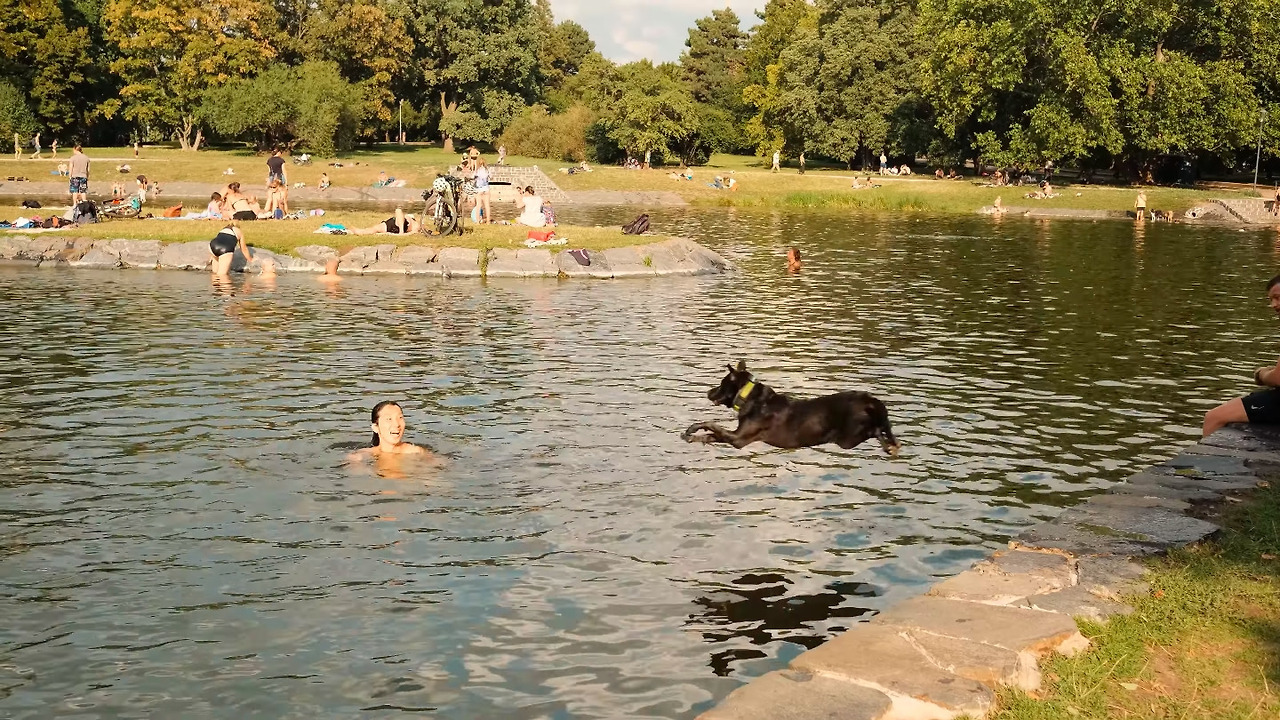 스크린샷 2025-12-03 오전 103500.jpg