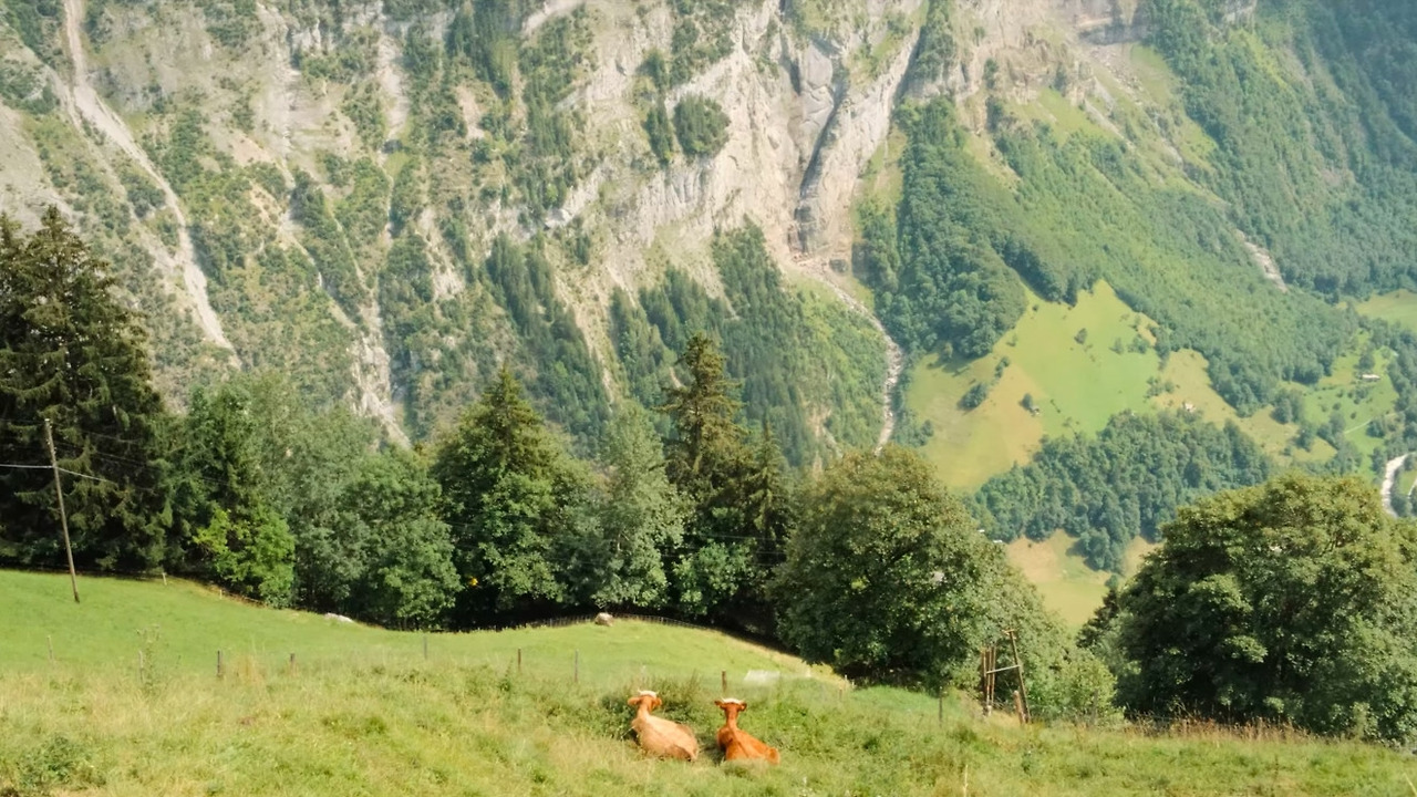 스크린샷 2025-12-02 오후 44351.jpg