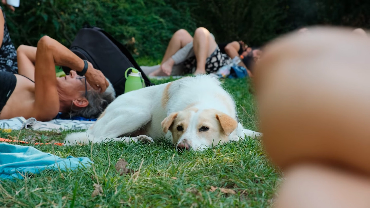 스크린샷 2025-12-02 오후 103750.jpg