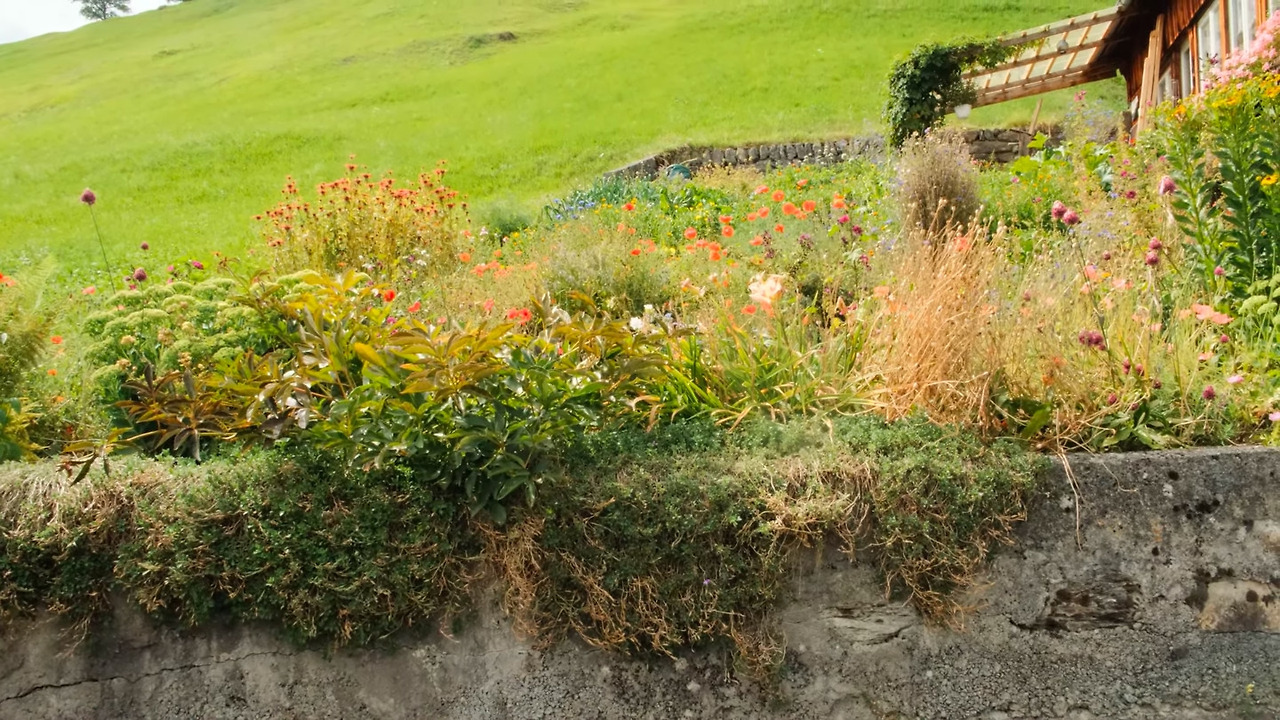 스크린샷 2025-12-02 오후 44410.jpg