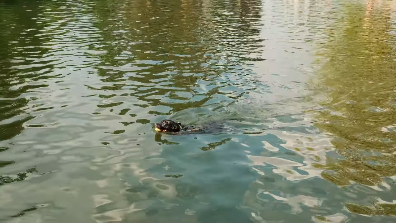 스크린샷 2025-12-03 오전 102329.jpg