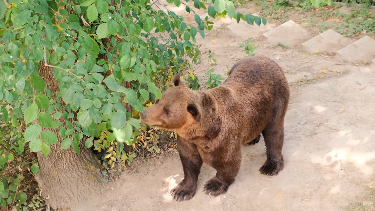 스크린샷 2025-12-02 오후 45314.jpg