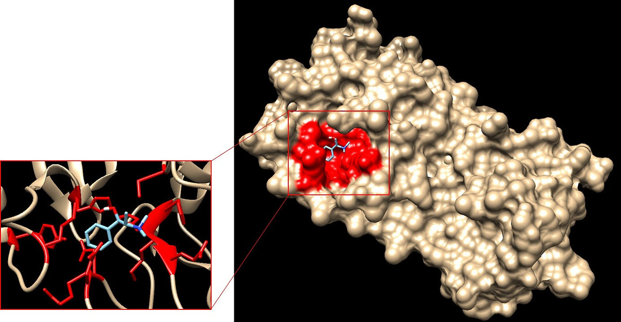 2-2 코로나19 치료제 후보물질 예측.jpg