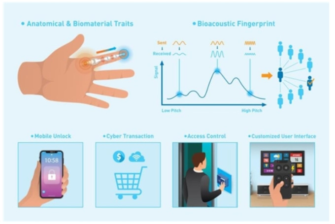 4-1 바이오인식 뉴스핌.jpg