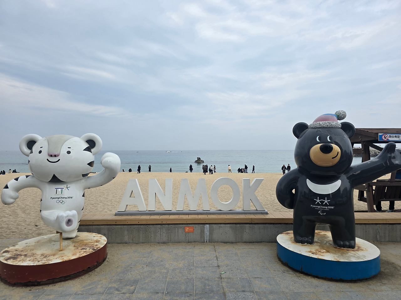 TV를 버렸다.