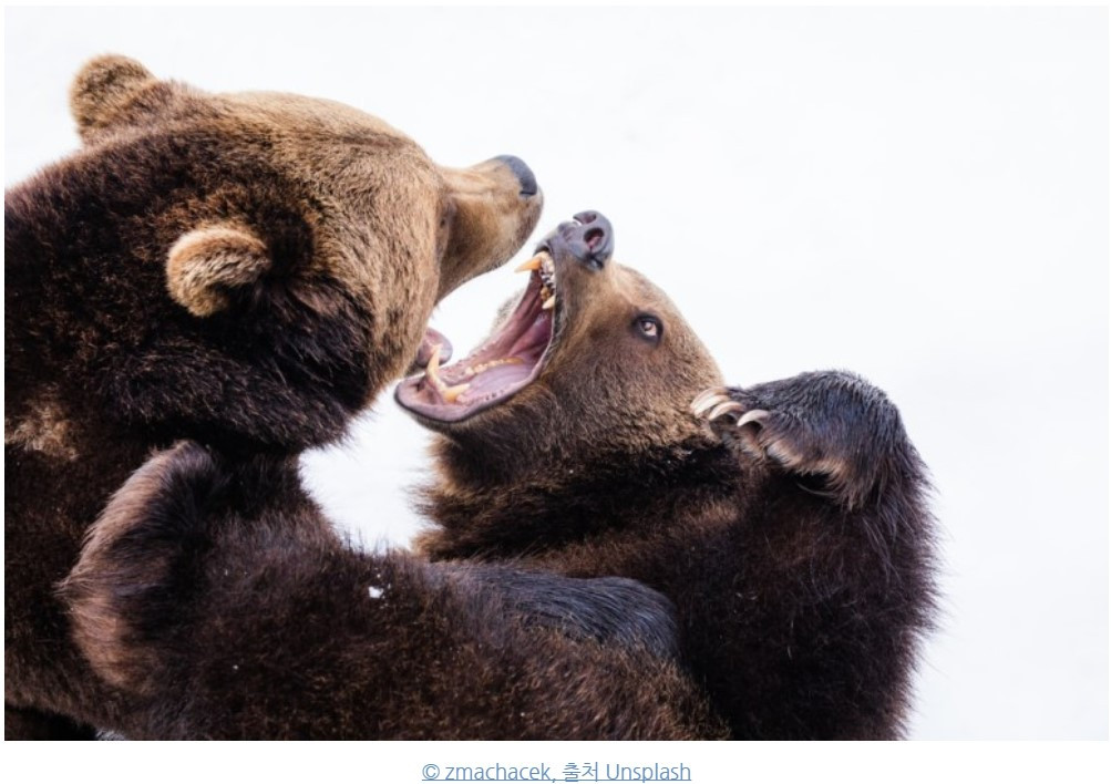 화면 캡처 2020-11-04 150959.jpg