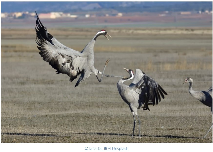 주석 2020-09-08 183112.jpg