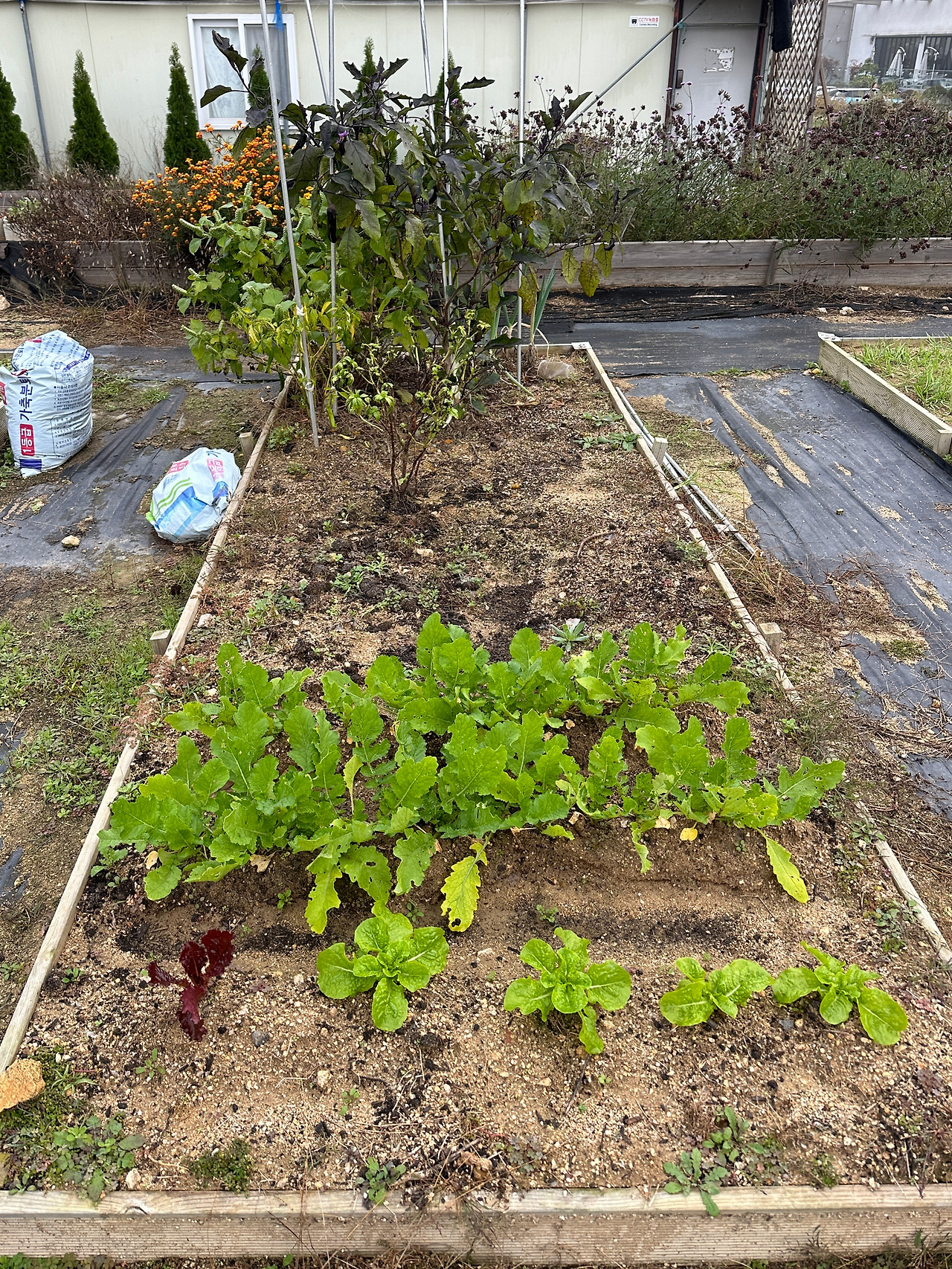 KakaoTalk_20250316_210946705_05 (1).jpg