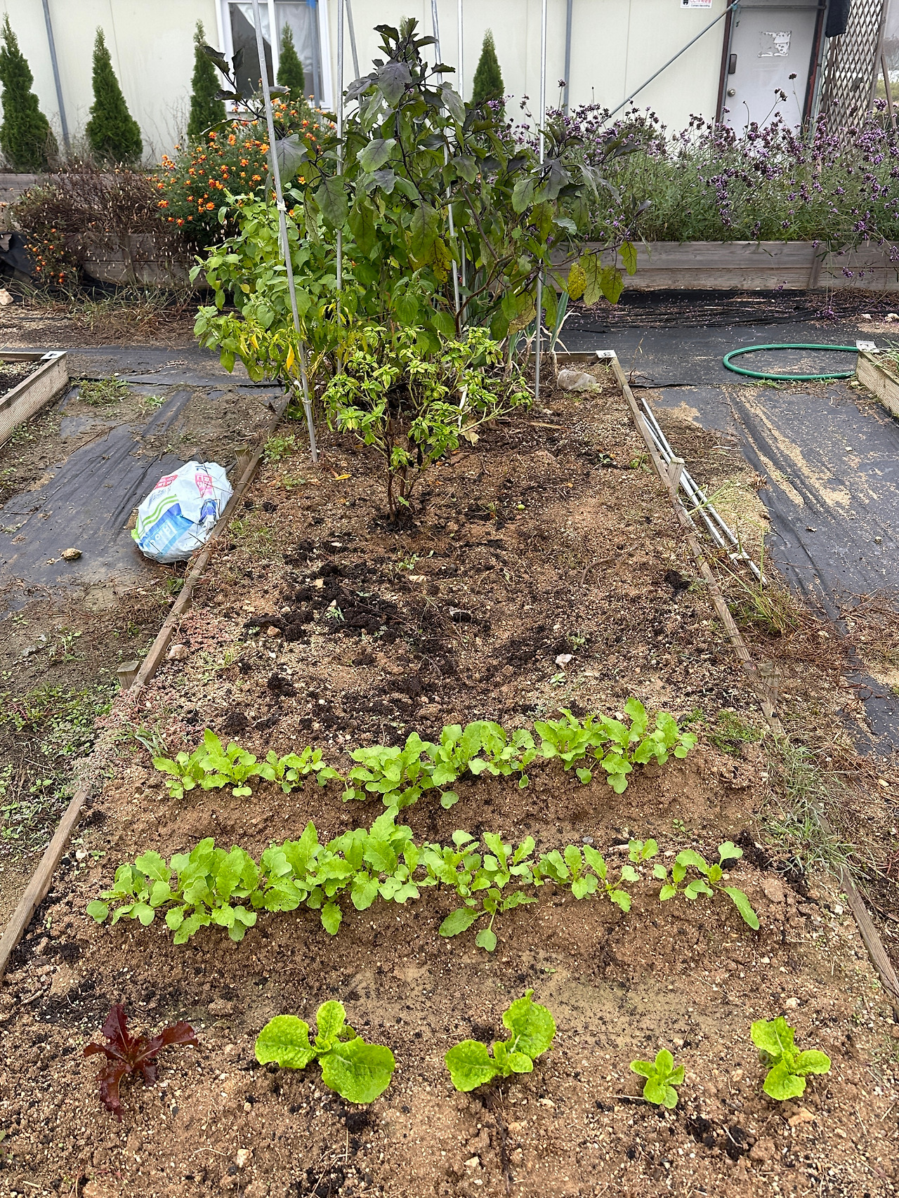 KakaoTalk_20250316_210946705_01 (1).jpg