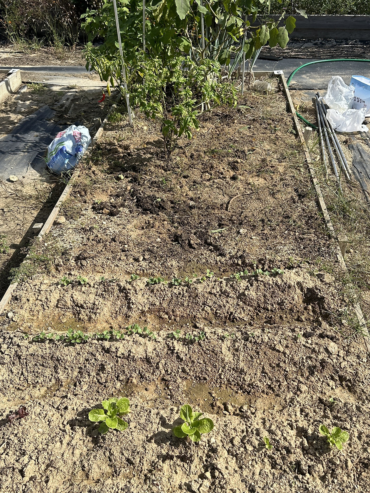 KakaoTalk_20250316_210946705 (1).jpg