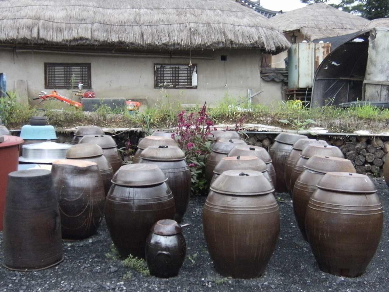 2011내일로 014.jpg