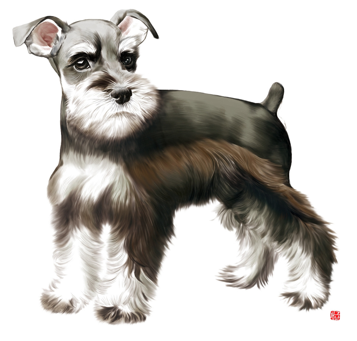 016 쉬나우저2.jpg